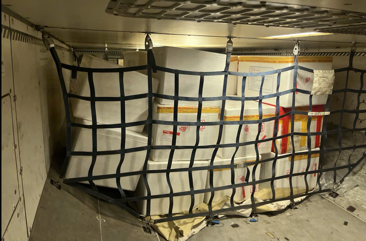 Loại hàng hóa gửi hàng đi Albania